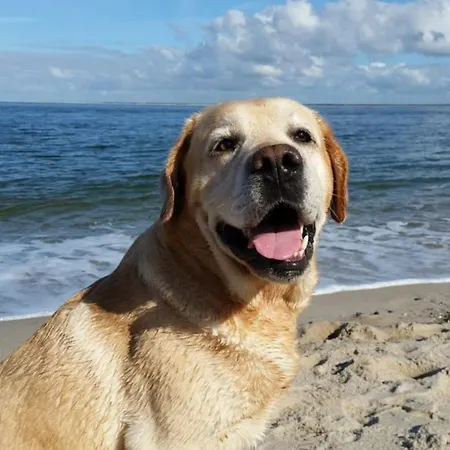 Strandslag 139 - Aan Zee * Julianadorp